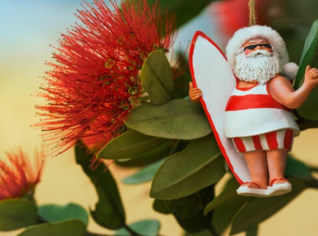 Lay Dodd News Christmas 2025